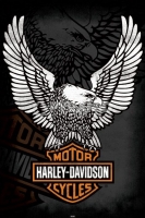 Poster Moto Logo Harley Davidson Eagle Aquila