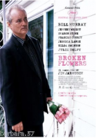 poster Broken Flowers Jarmusch CINEMA 100X140