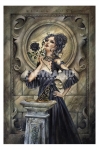 Alchemy (Black Rose) Maxi Poster