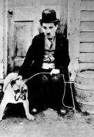 C.Chaplin cane vagabondo foto poster
