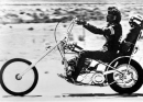 Easy Rider Moto foto poster 20x25