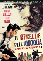 Il Ribelle Dell'Anatolia (1963) (Dvd) di Elia Kazan