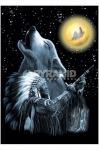 Native American (Wolf MoonHeartrock) Poster