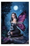 Night Fairy (James Ryman) Poster Fantasy