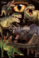 Poster Educativi e Scolastici I Dinosauri del Natural History Mu