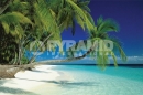 Poster Fotografico Mare Spiaggia e Palme delle Maldive