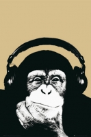 Poster Musica Monkey Steez Pop Art
