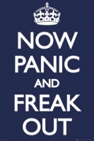 Poster Proverbi Now Panic and Freak Out