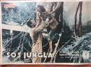 SOS JUNGLA! (1948) Foto busta originale epoca